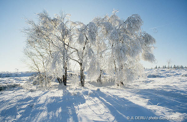 les Hautes Fagnes